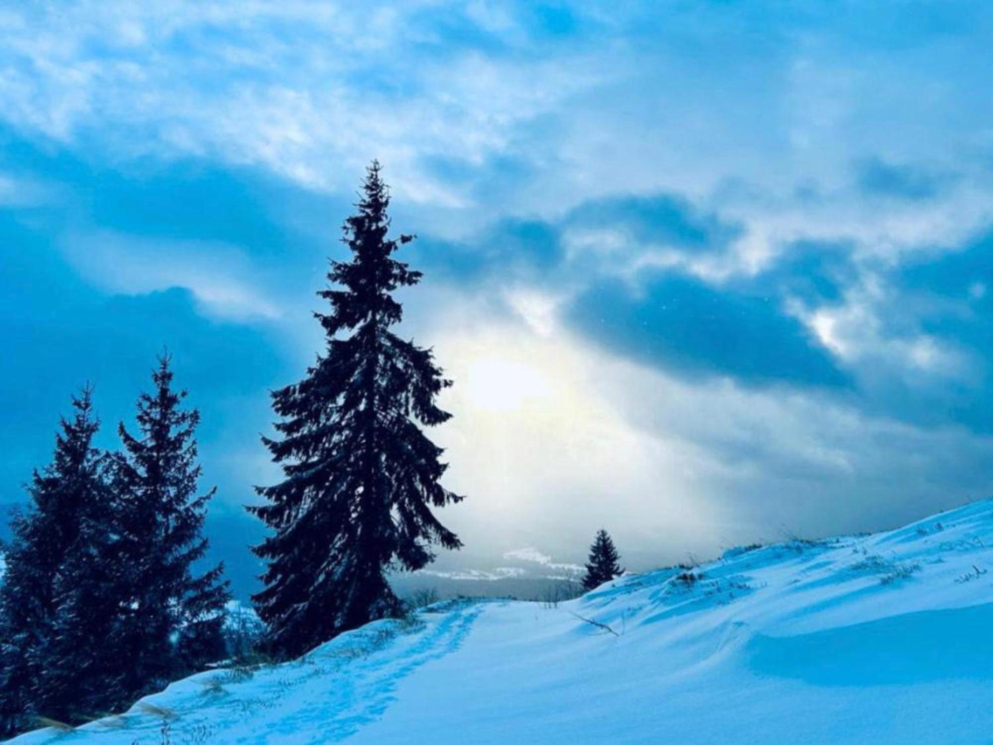Tiarra Mountain Lodge Beliş Buitenkant foto