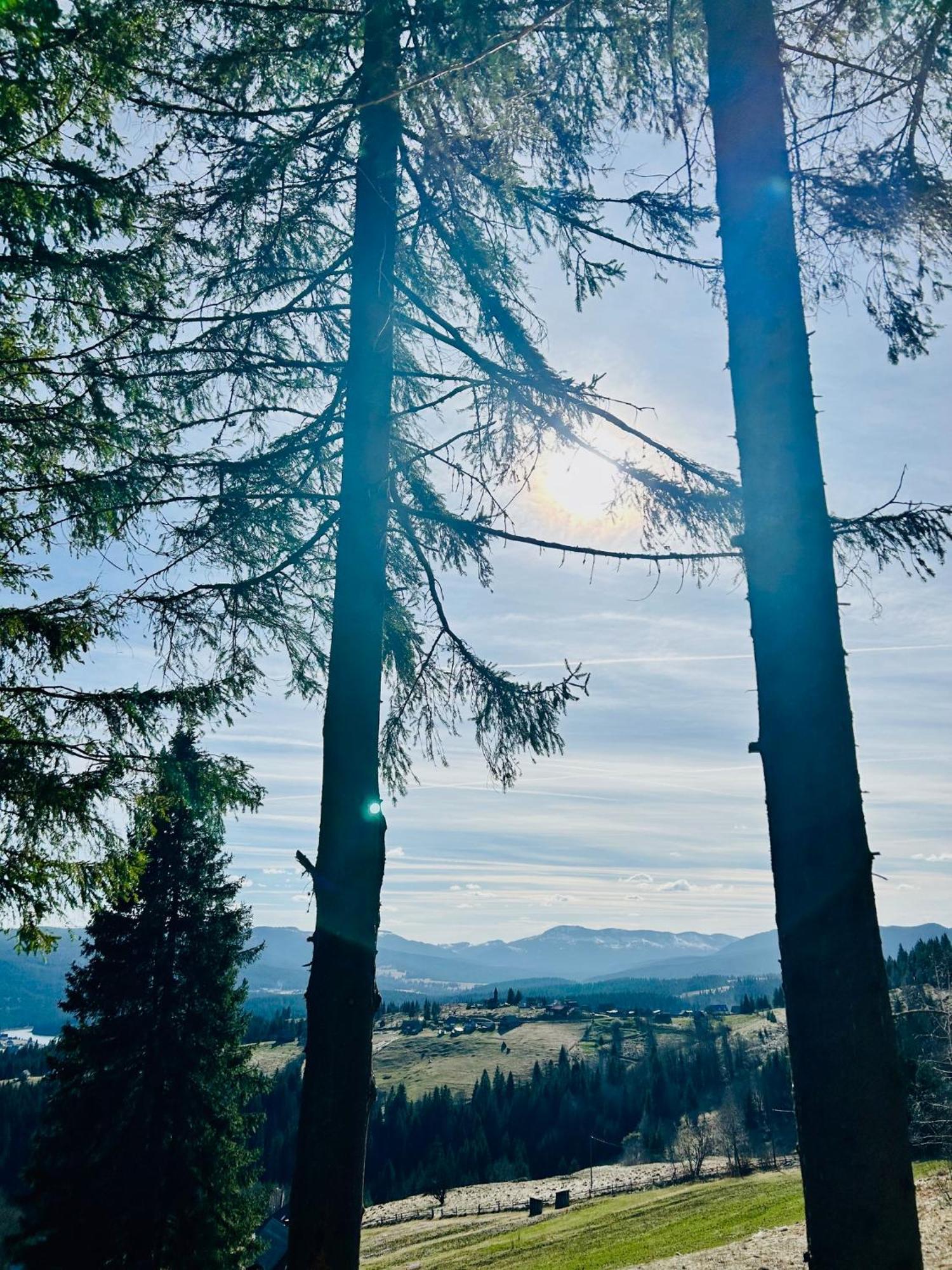Tiarra Mountain Lodge Beliş Buitenkant foto